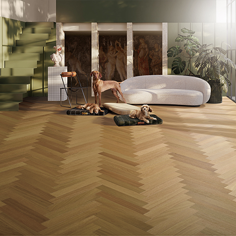 78m威九国际(集团)中国区有限公司-BinG百科