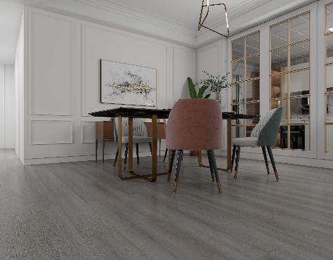 RS1101-摩登银灰42D5DCBF07E54C7493359934DF64DEB4