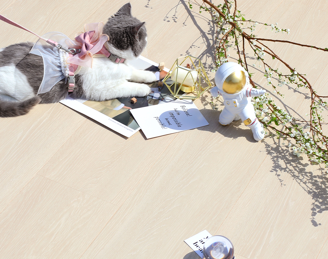 988AE321D2743496092C0A5E76125DFAB